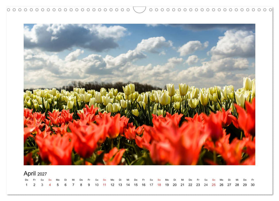 Eindrücke aus der Natur (CALVENDO Wandkalender 2027)