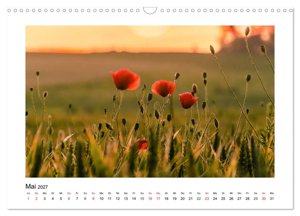 Eindrücke aus der Natur (CALVENDO Wandkalender 2027)