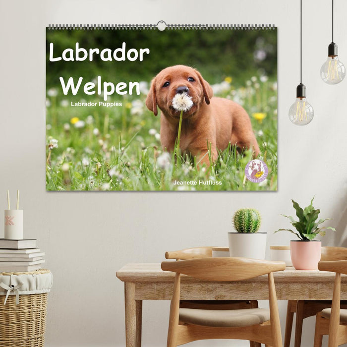 Labrador Welpen - Labrador Puppies (CALVENDO Wandkalender 2027)