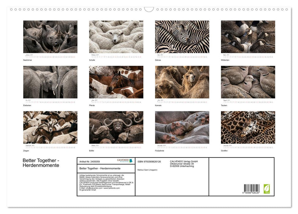 Better Together - Herdenmomente (CALVENDO Wandkalender 2027)