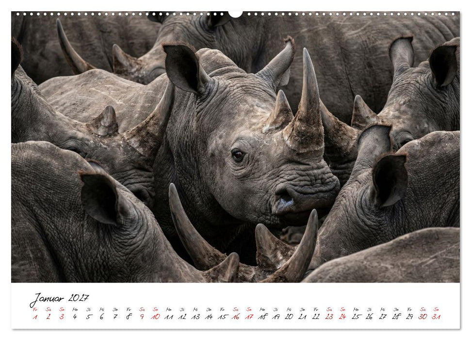 Better Together - Herdenmomente (CALVENDO Wandkalender 2027)