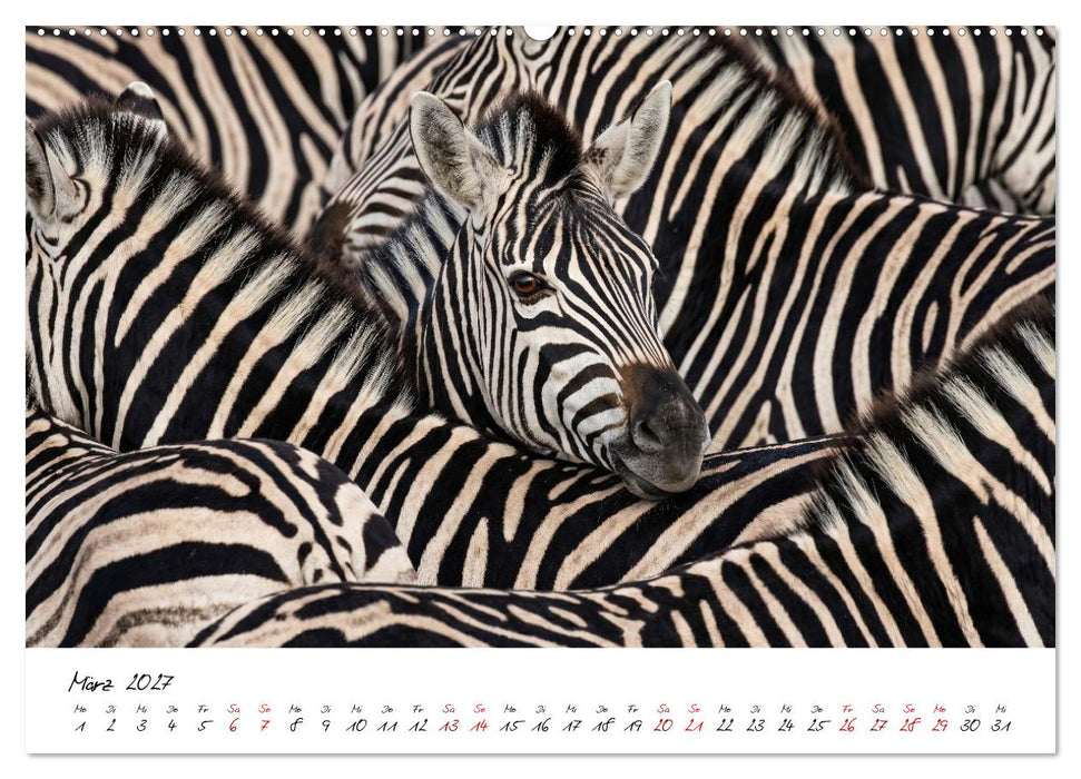 Better Together - Herdenmomente (CALVENDO Wandkalender 2027)