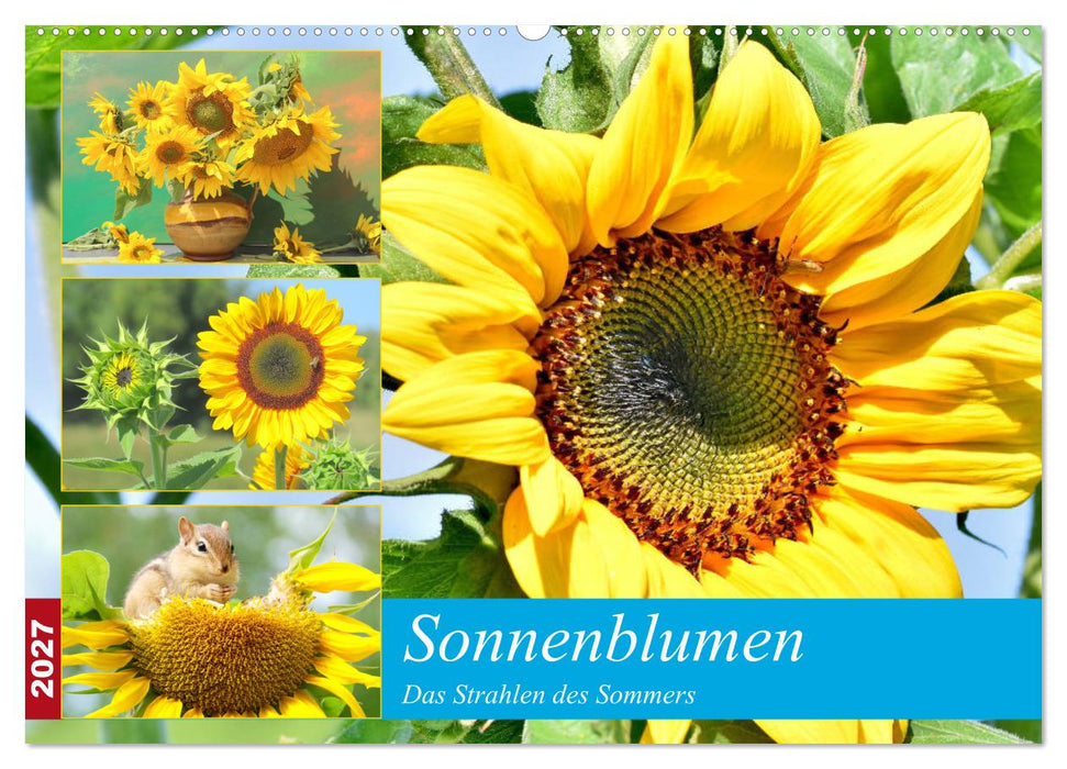 Sonnenblumen. Das Strahlen des Sommers (CALVENDO Wandkalender 2027)