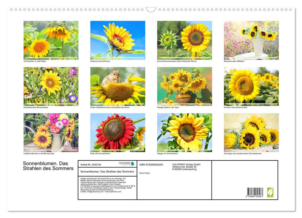 Sonnenblumen. Das Strahlen des Sommers (CALVENDO Wandkalender 2027)