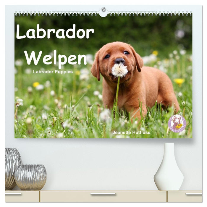 Labrador Welpen - Labrador Puppies (CALVENDO Premium Wandkalender 2027)