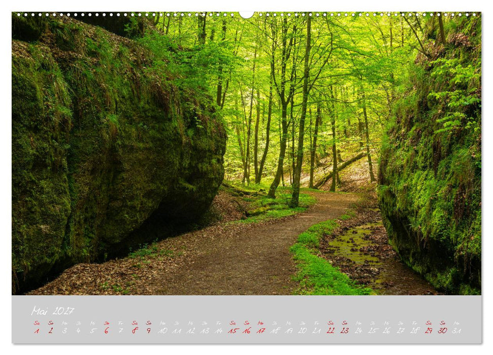 Thüringer Wald Das Grüne Herz Deutschlands (CALVENDO Premium Wandkalender 2027)
