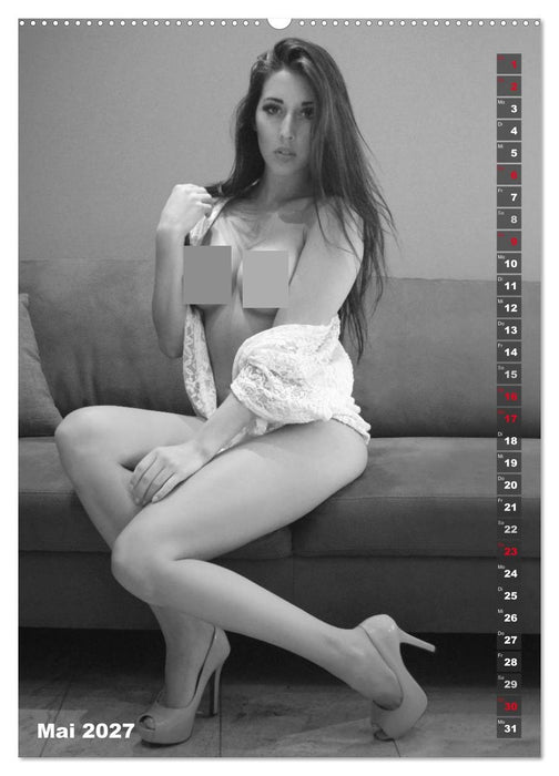 EROTIK FOTOART SEXY GIRLS (CALVENDO Premium Wandkalender 2027)