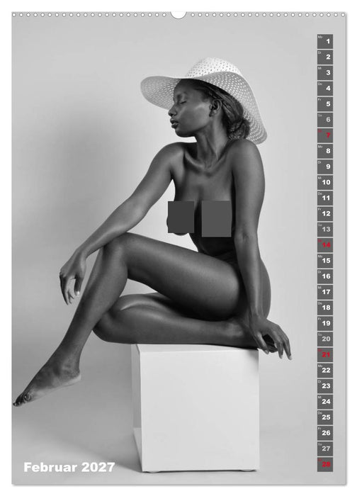 EROTIK FOTOART SEXY GIRLS (CALVENDO Wandkalender 2027)