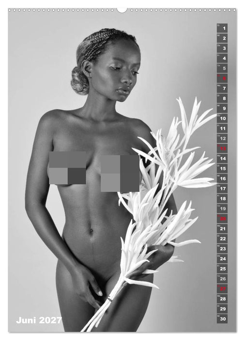 EROTIK FOTOART SEXY GIRLS (CALVENDO Wandkalender 2027)