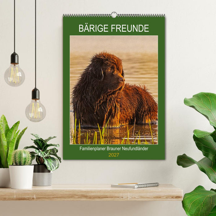 Bärige Freunde - Familienplaner Brauner Neufundländer (CALVENDO Wandkalender 2027)