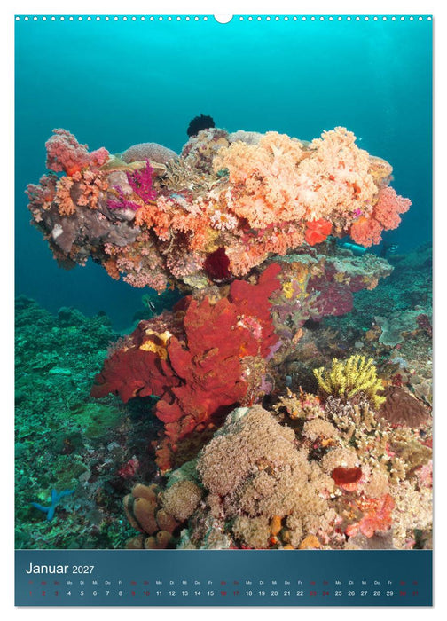 Farbenfrohe Unterwasserwelt (CALVENDO Premium Wandkalender 2027)