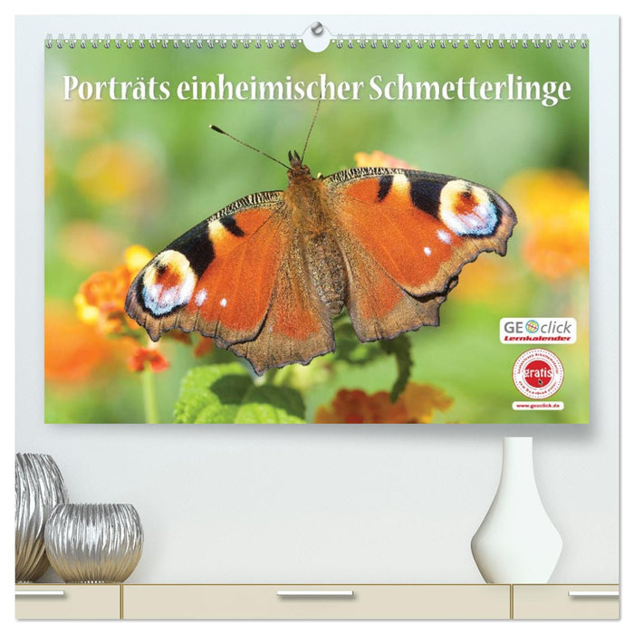 GEOclick Lernkalender: Porträts einheimischer Schmetterlinge (CALVENDO Premium Wandkalender 2027)