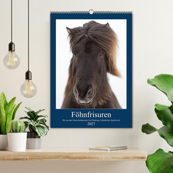 Föhnfrisuren (CALVENDO Wandkalender 2027)