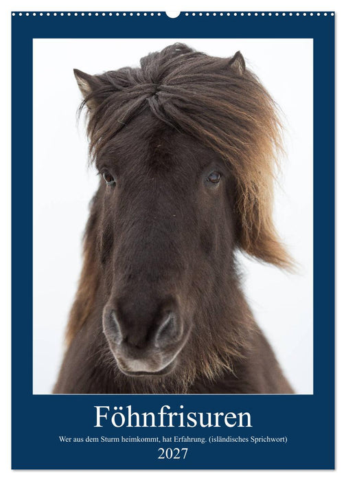 Föhnfrisuren (CALVENDO Wandkalender 2027)