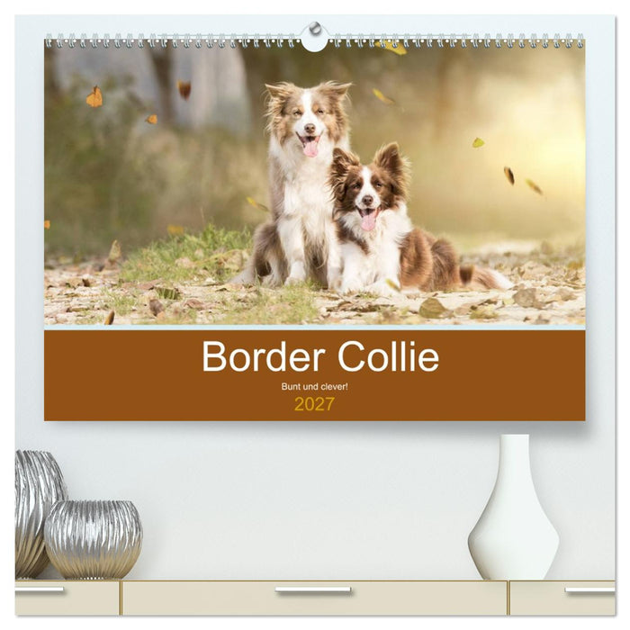 Border Collie - Bunt und clever! (CALVENDO Premium Wandkalender 2027)