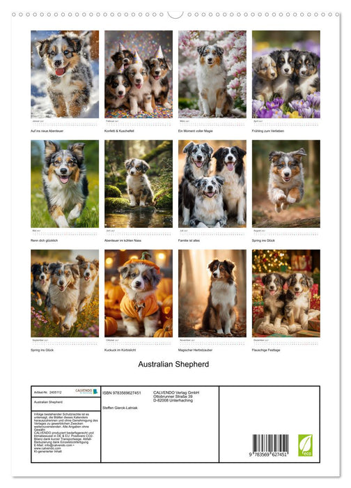Australian Shepherd (CALVENDO Premium Wandkalender 2027)