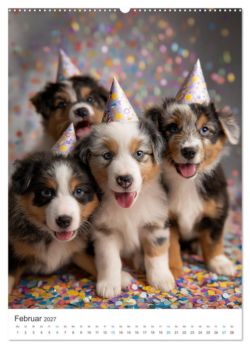 Australian Shepherd (CALVENDO Premium Wandkalender 2027)