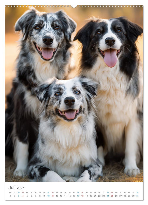 Australian Shepherd (CALVENDO Premium Wandkalender 2027)