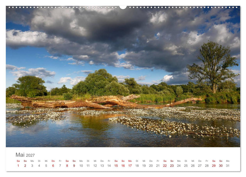 Dessau Design und ein schöner Park (CALVENDO Wandkalender 2027)