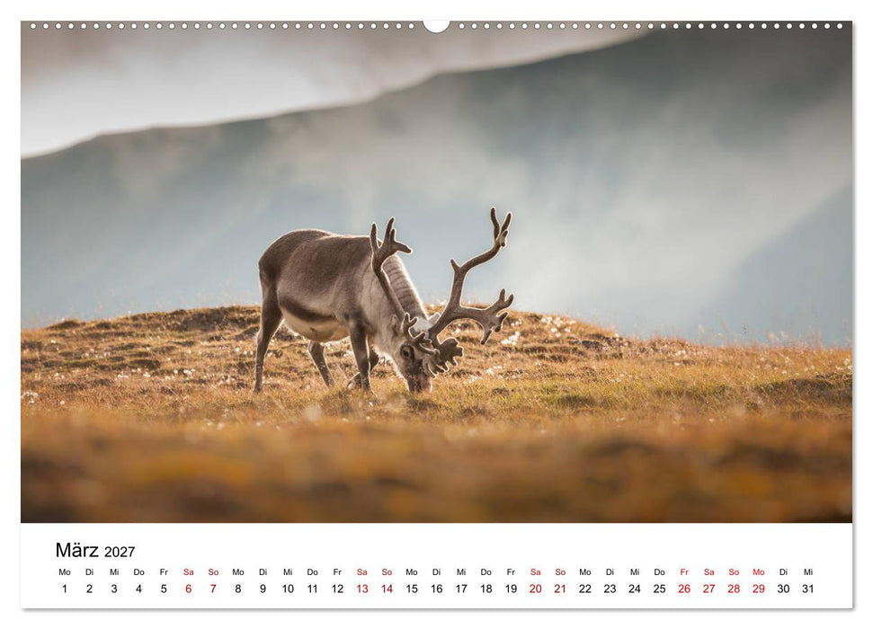 Spitzbergenkalender (CALVENDO Wandkalender 2027)