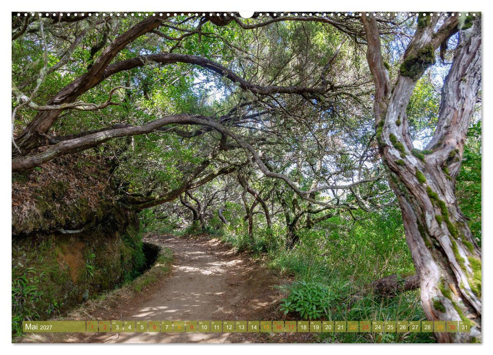 Faszination Madeira (CALVENDO Wandkalender 2027)