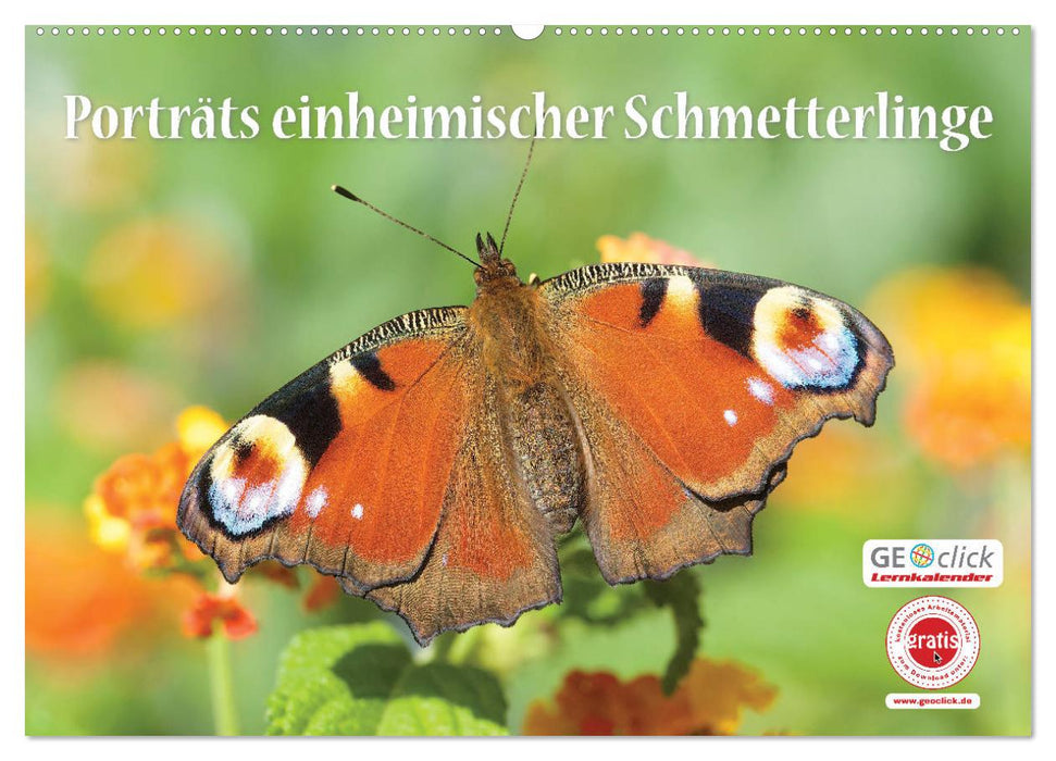 GEOclick Lernkalender: Porträts einheimischer Schmetterlinge (CALVENDO Wandkalender 2027)