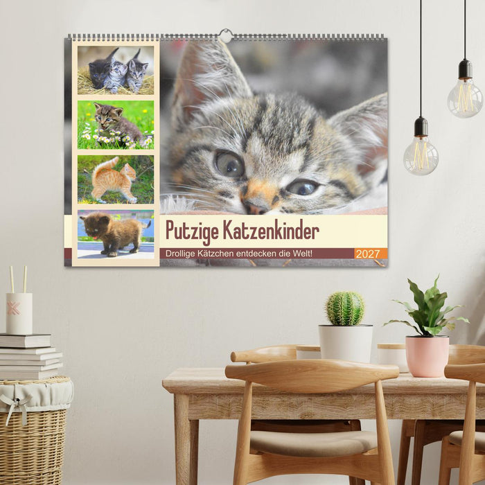 Putzige Katzenkinder. Drollige Kätzchen entdecken die Welt! (CALVENDO Wandkalender 2027)