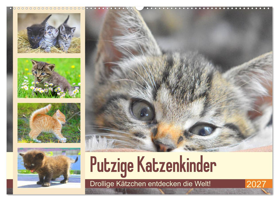 Putzige Katzenkinder. Drollige Kätzchen entdecken die Welt! (CALVENDO Wandkalender 2027)