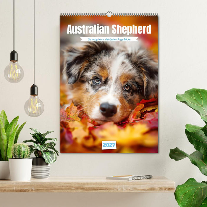 Australian Shepherd (CALVENDO Wandkalender 2027)