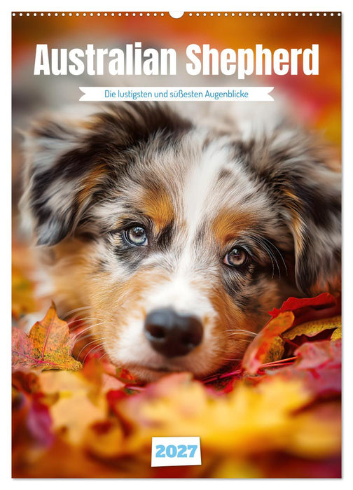 Australian Shepherd (CALVENDO Wandkalender 2027)