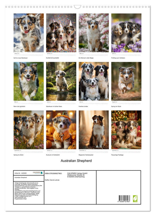 Australian Shepherd (CALVENDO Wandkalender 2027)