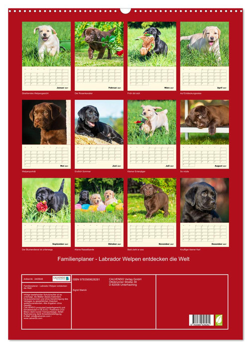 Familienplaner - Labrador Welpen entdecken die Welt (CALVENDO Wandkalender 2027)