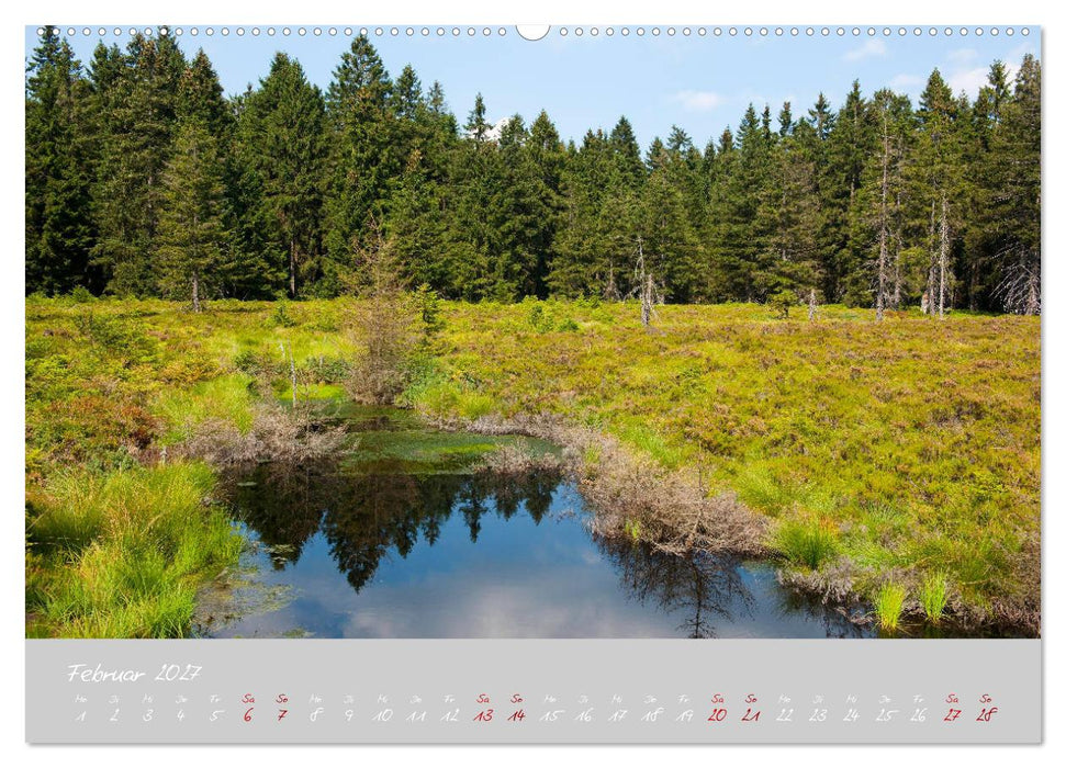 Thüringer Wald Das Grüne Herz Deutschlands (CALVENDO Wandkalender 2027)