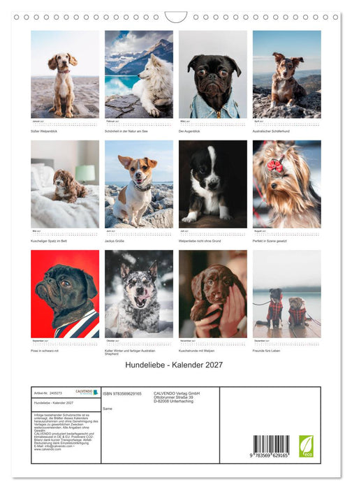 Hundeliebe - Kalender 2027 (CALVENDO Wandkalender 2027)