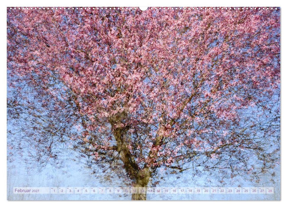 Vielfalt der Bäume - variety of trees (CALVENDO Premium Wandkalender 2027)