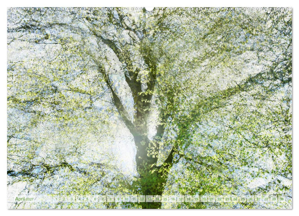 Vielfalt der Bäume - variety of trees (CALVENDO Premium Wandkalender 2027)