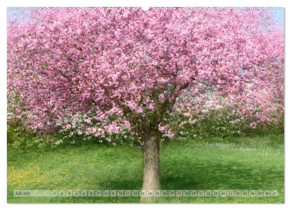 Vielfalt der Bäume - variety of trees (CALVENDO Premium Wandkalender 2027)