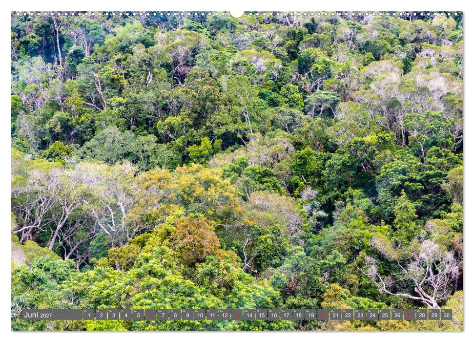 Australien - Metropolen • Outback • Regenwald • Koalas (CALVENDO Wandkalender 2027)