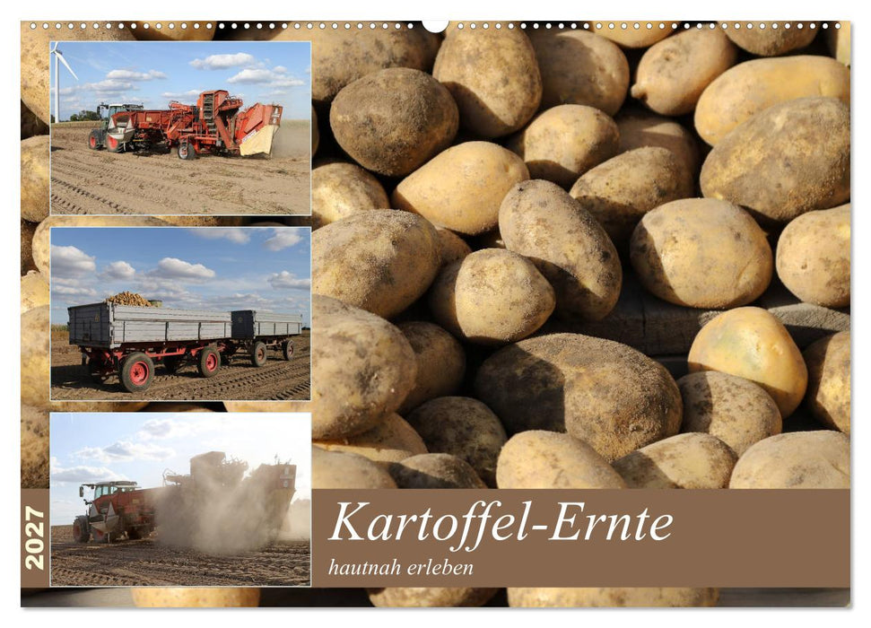 Kartoffel-Ernte - hautnah erleben (CALVENDO Wandkalender 2027)
