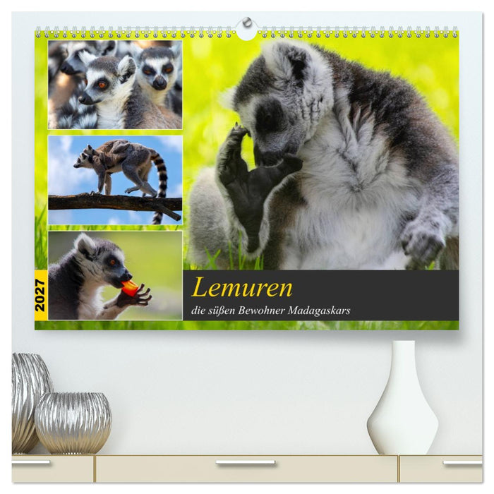 Lemuren die süßen Bewohner Madagaskars (CALVENDO Premium Wandkalender 2027)