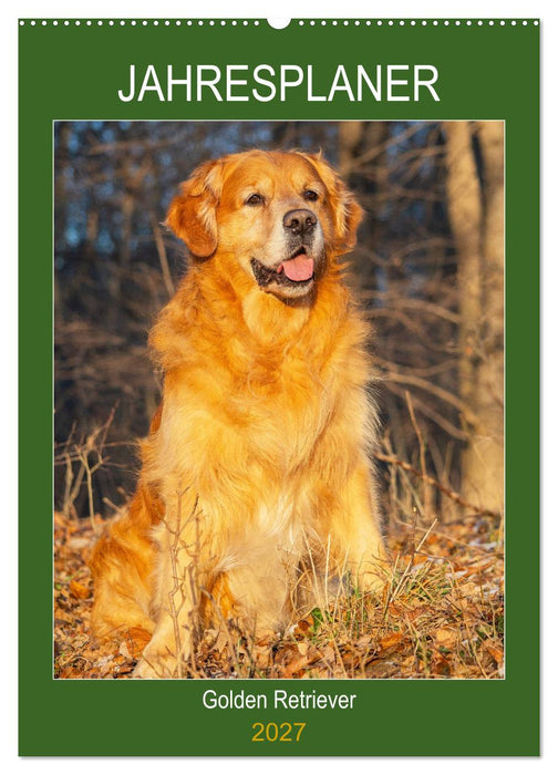 Jahresplaner Golden Retriever (CALVENDO Wandkalender 2027)