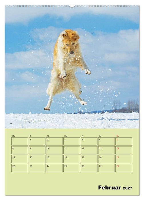 Jahresplaner Golden Retriever (CALVENDO Wandkalender 2027)