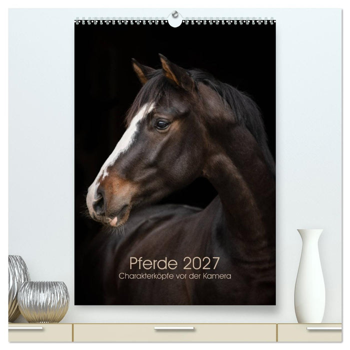 Pferde 2027 - Charakterköpfe vor der Kamera (CALVENDO Premium Wandkalender 2027)