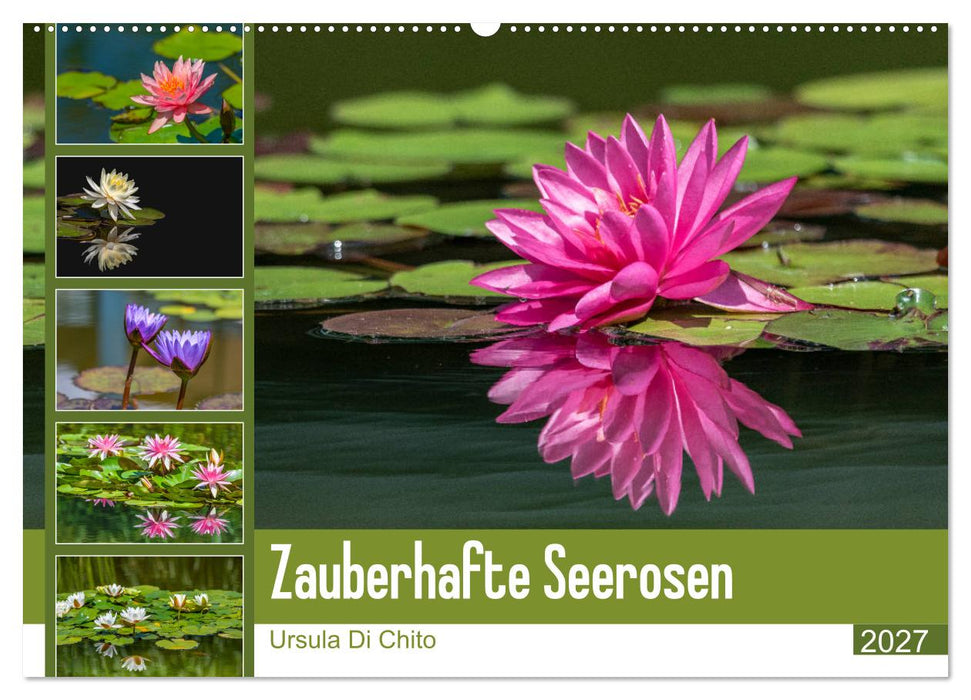 Zauberhafte Seerosen (CALVENDO Wandkalender 2027)