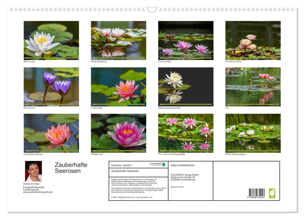 Zauberhafte Seerosen (CALVENDO Wandkalender 2027)