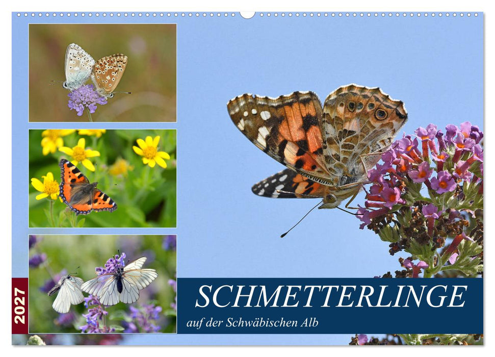 Schmetterlinge auf der Schwäbischen Alb (CALVENDO Wandkalender 2027)