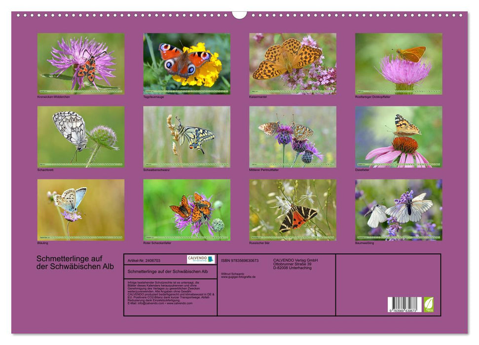 Schmetterlinge auf der Schwäbischen Alb (CALVENDO Wandkalender 2027)