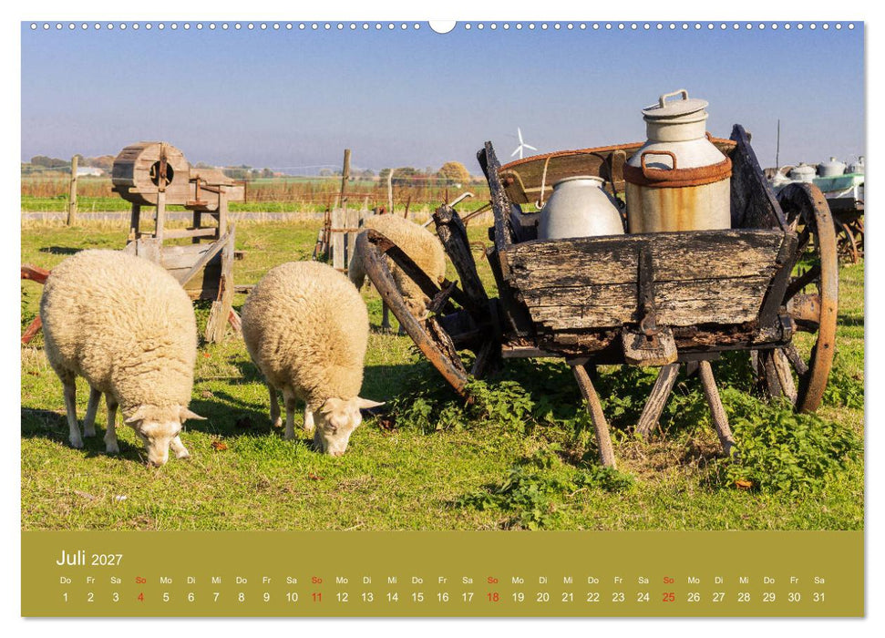 Mön, Impressionen einer dänischen Insel (CALVENDO Premium Wandkalender 2027)