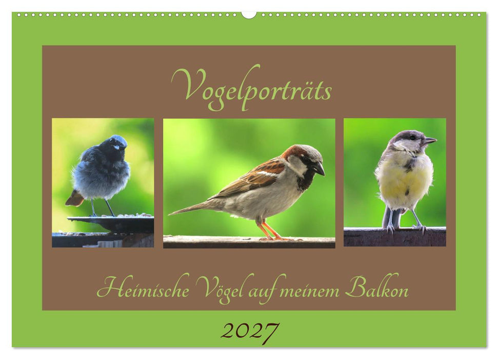 Vogelporträts - Heimische Vögel auf meinem Balkon (CALVENDO Wandkalender 2027)
