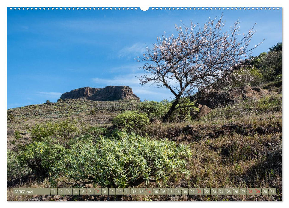 La Gomera - Vielseitige Insel (CALVENDO Wandkalender 2027)